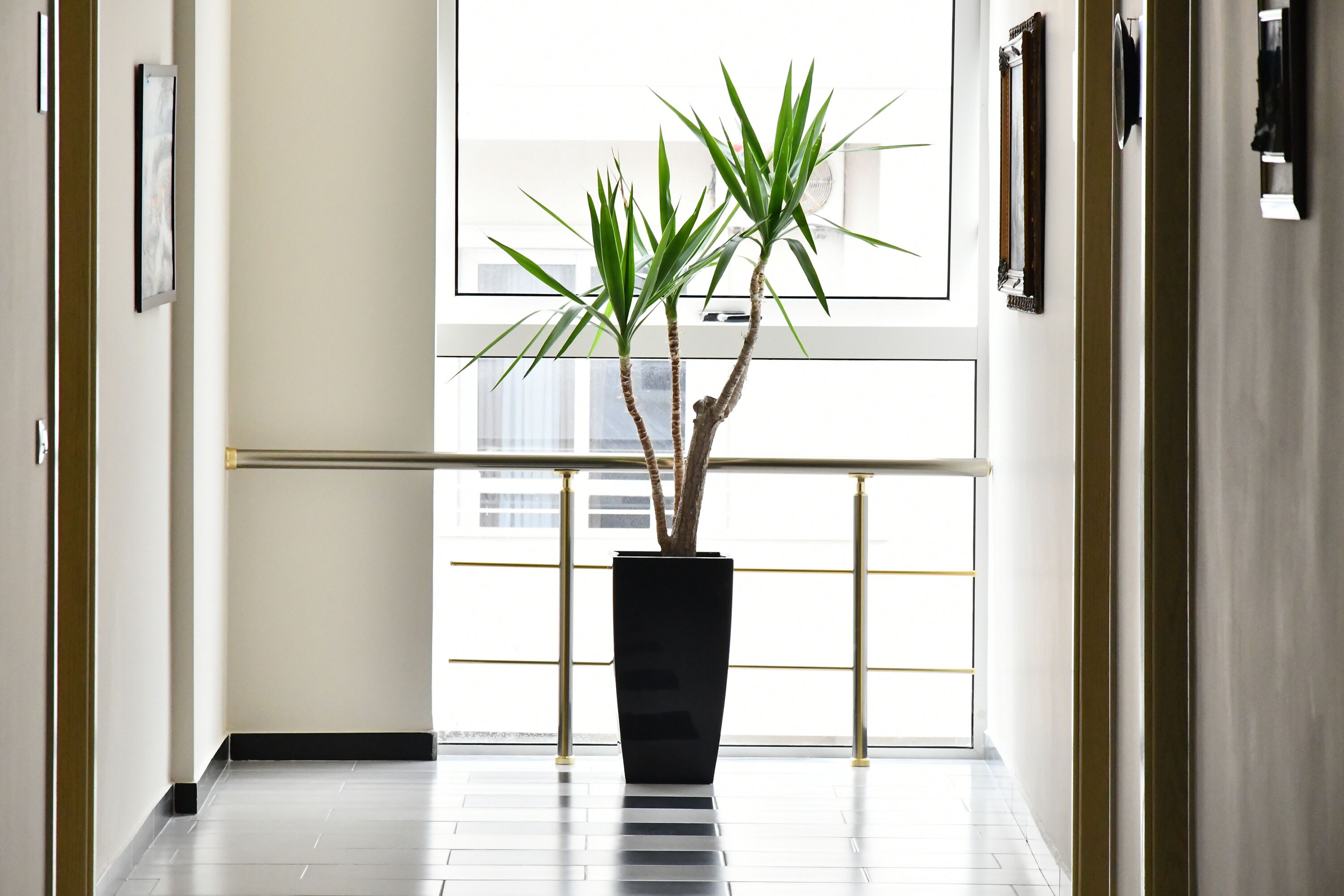 Chi tiết nội thất