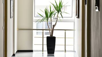 Chi tiết nội thất