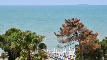 Quang cảnh từ phòng