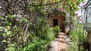 Un estrecho sendero de piedra bordeado por exuberante follaje y plantas trepadoras que conduce a la entrada de un edificio.