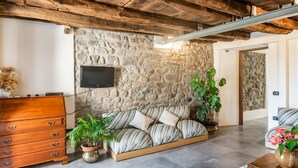 Una pared de piedra, un sofá, un televisor, un aparador de madera y una planta en maceta.