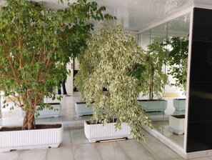 Interior - Studio 2/3 pax 400 m from Fenals beach in LLoret de Mar. Community pool and garden. Free WIFI. Vivalidays Lara. (Lloret de Mar)