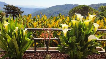 Un jardin agrémenté de fleurs jaunes et blanches, une clôture en métal et, au loin, un paysage montagneux.