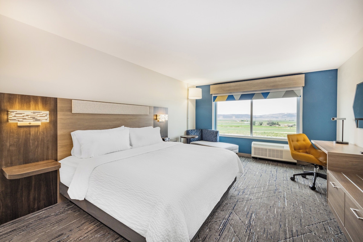 Quarto de hotel com uma cama grande, uma escrivaninha, uma cadeira e vista para o exterior.