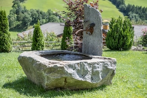 Uma fonte de pedra com bica e bacia, rodeada por relva e árvores.