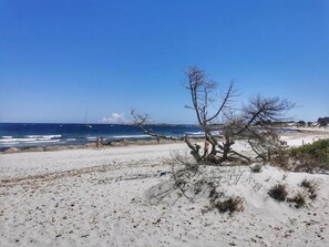 Nära stranden