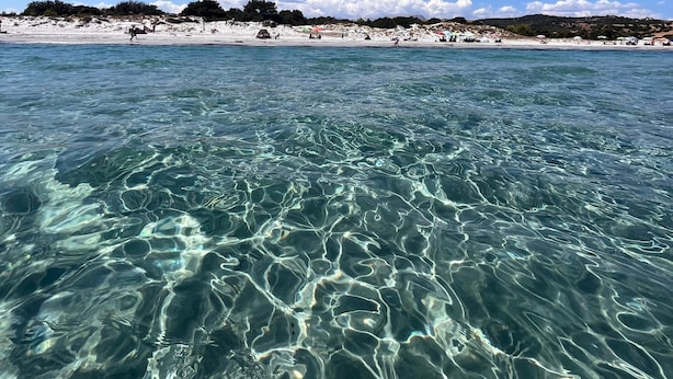Una playa con aguas transparentes, una orilla arenosa y una colina distante.