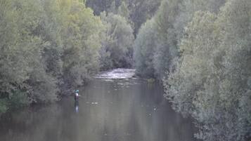 Un río rodeado de árboles frondosos.