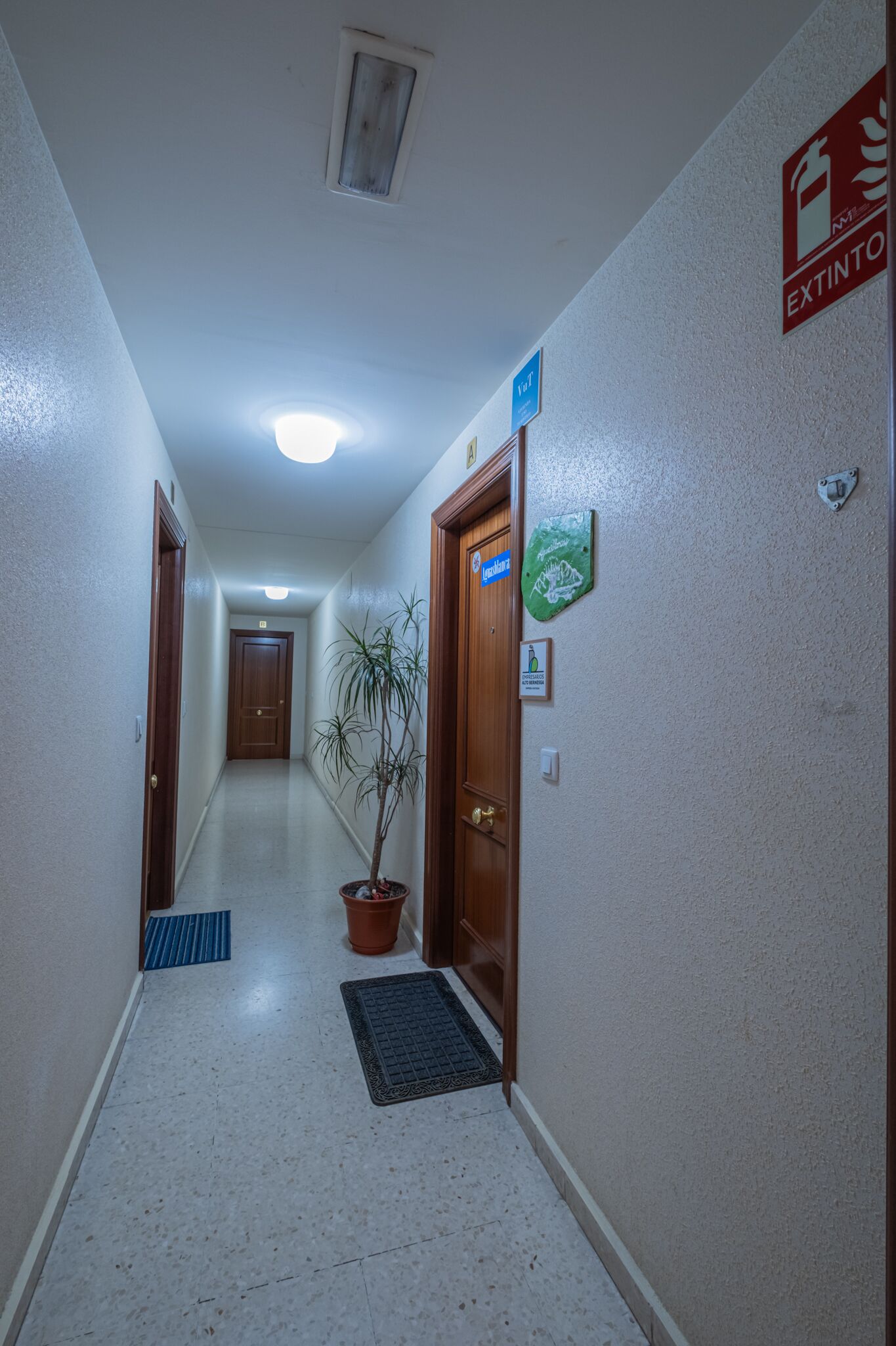 Un couloir avec une plante en pot, un tapis bleu et un panneau indiquant la sortie.