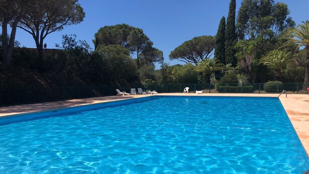 Una piscina rectangular con agua azul cristalina, rodeada por una solana empedrada.