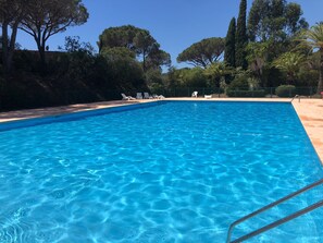 Una piscina rectangular con agua azul cristalina, rodeada por una solana empedrada.