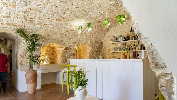 Un intérieur rustique en pierre, avec un coin bar, une grande plante en pot et une table ronde blanche.
