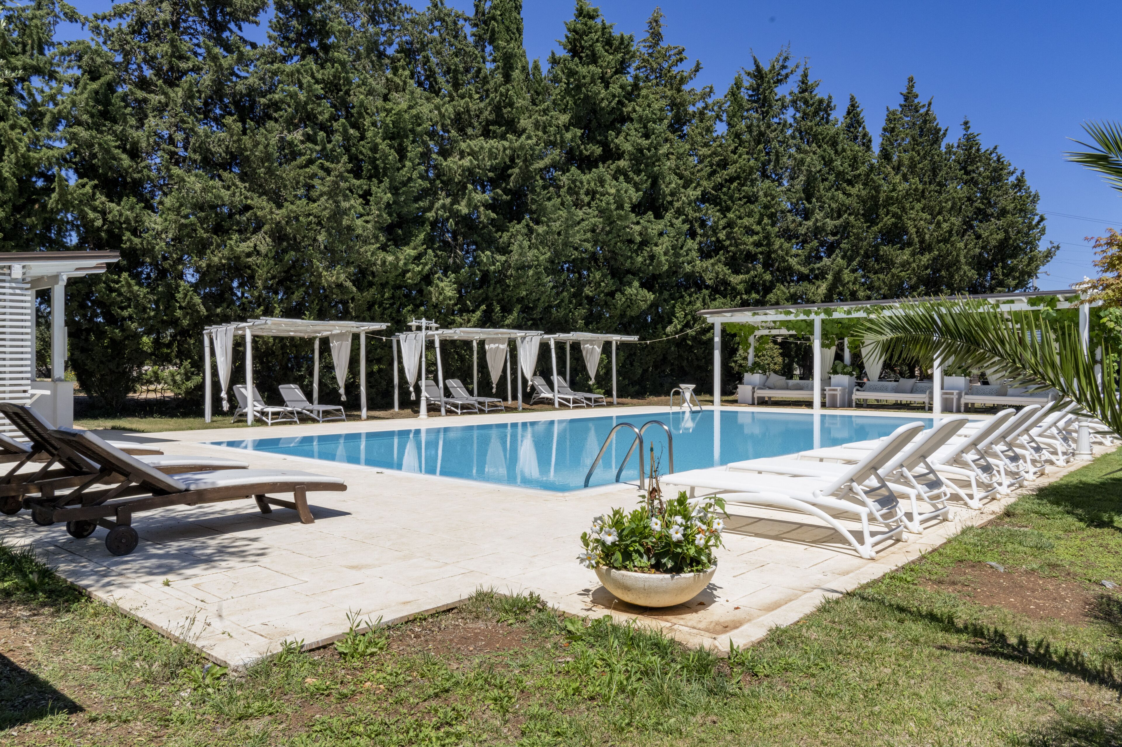 Ein Pool mit Liegestühlen und Sonnenschirmen, umgeben von Bäumen.