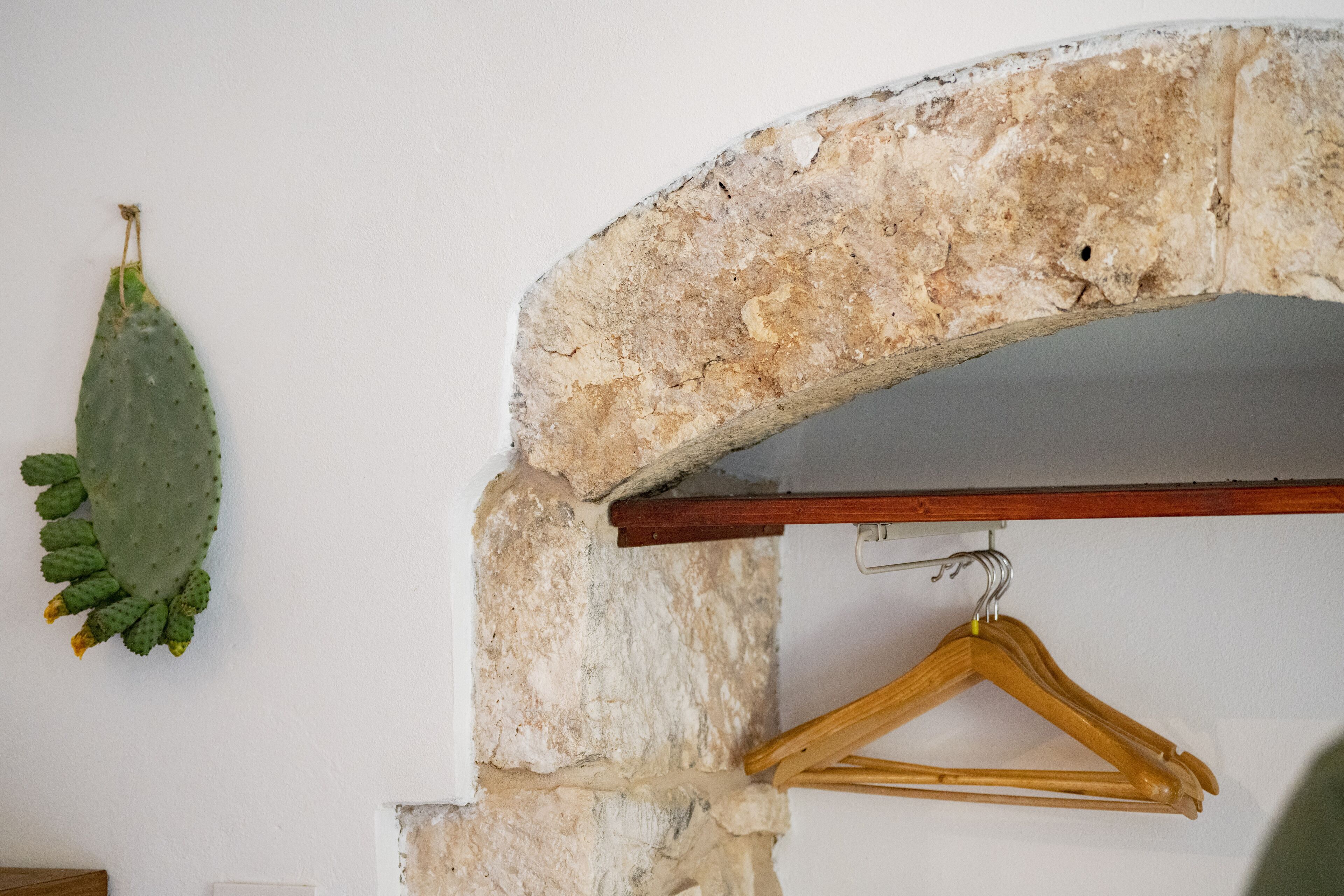 A stone archway with a wooden hanger and a cactus.