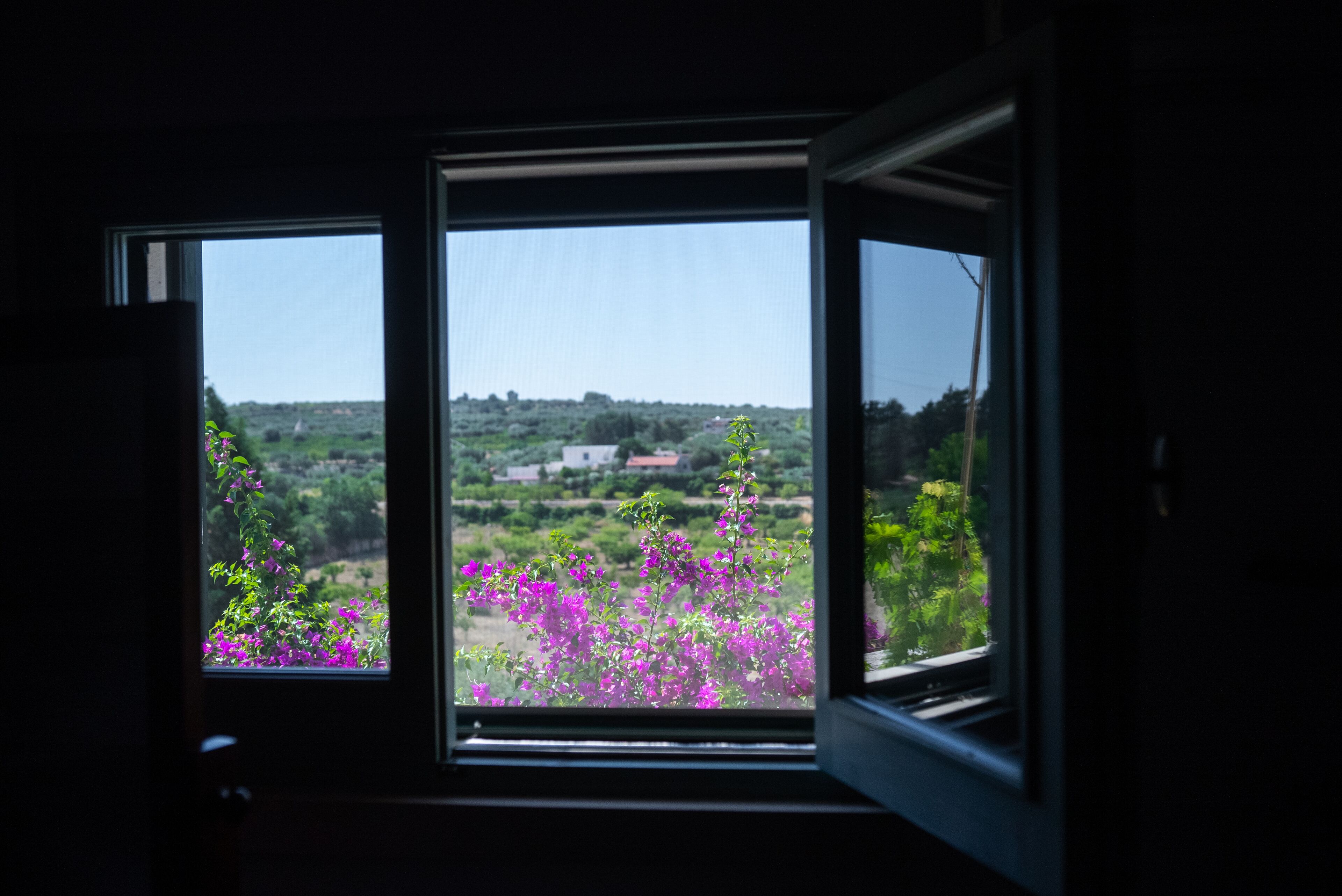 A window with a view of a landscape including green fields and purple flowers.