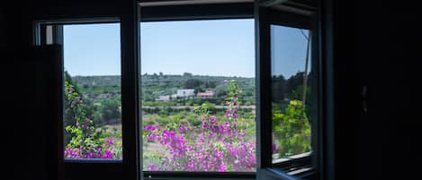 Una ventana con vista a un paisaje que incluye campos verdes y flores moradas.