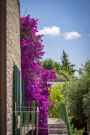 Exterior - Masseria Montepaolo (Conversano)