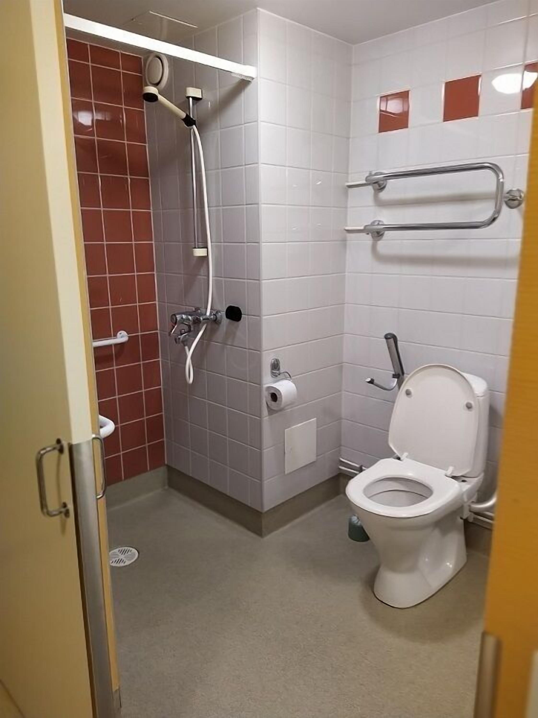 Een kleine badkamer met toilet, douche en een handgreep.