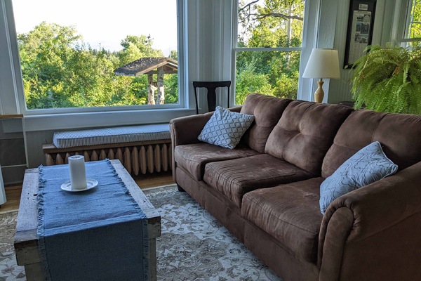 Smart TV, DVD player, books