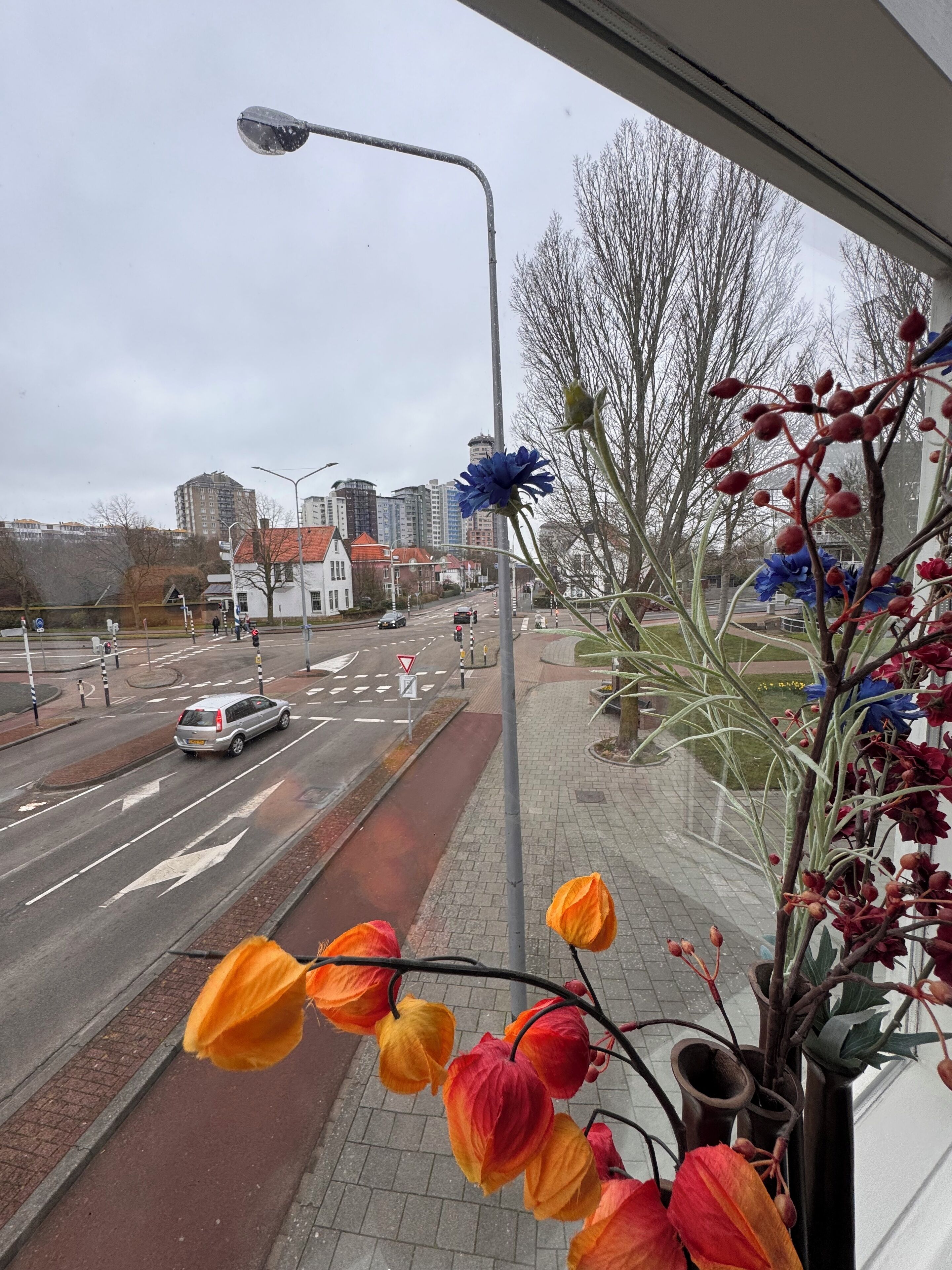 A view of a city street with buildings, a traffic light, and a flower arrangement on a window sill.