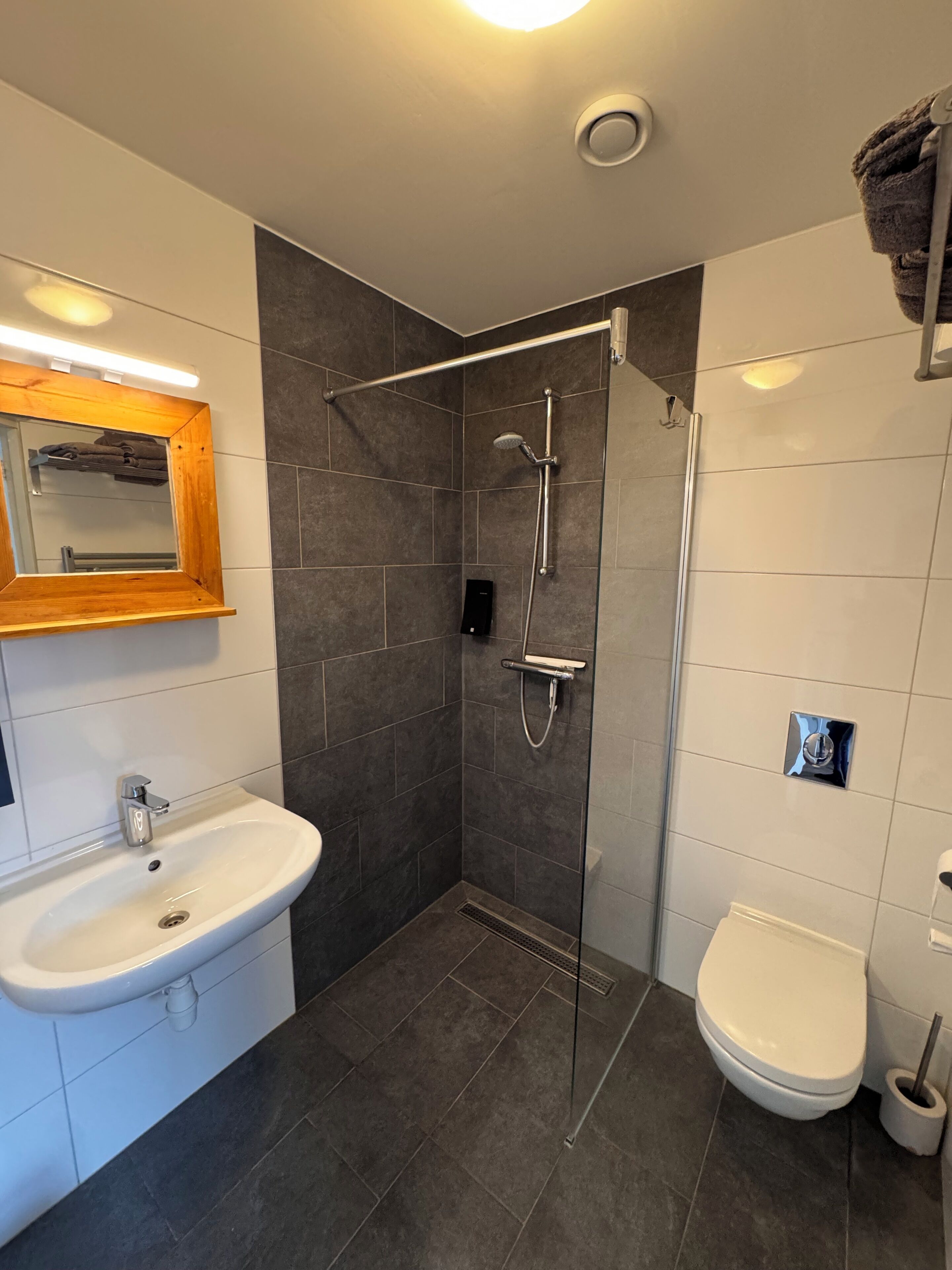 Ein modernes Badezimmer mit einer Duschkabine, einem weißen Waschbecken und einer Toilette.