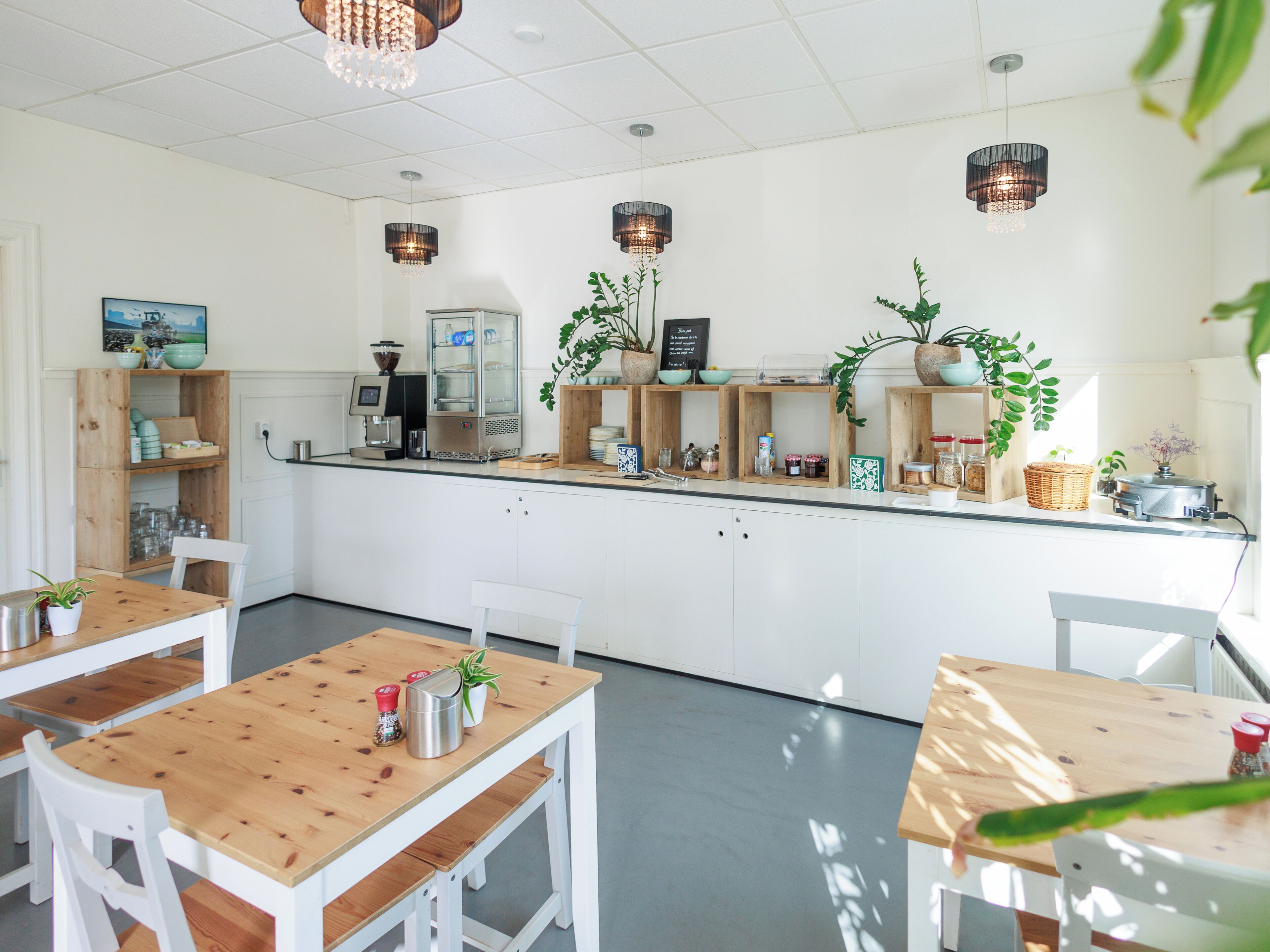 Une cuisine moderne avec des armoires blanches, des comptoirs en bois et des luminaires suspendus. On peut y voir plusieurs plantes et appareils de cuisine.