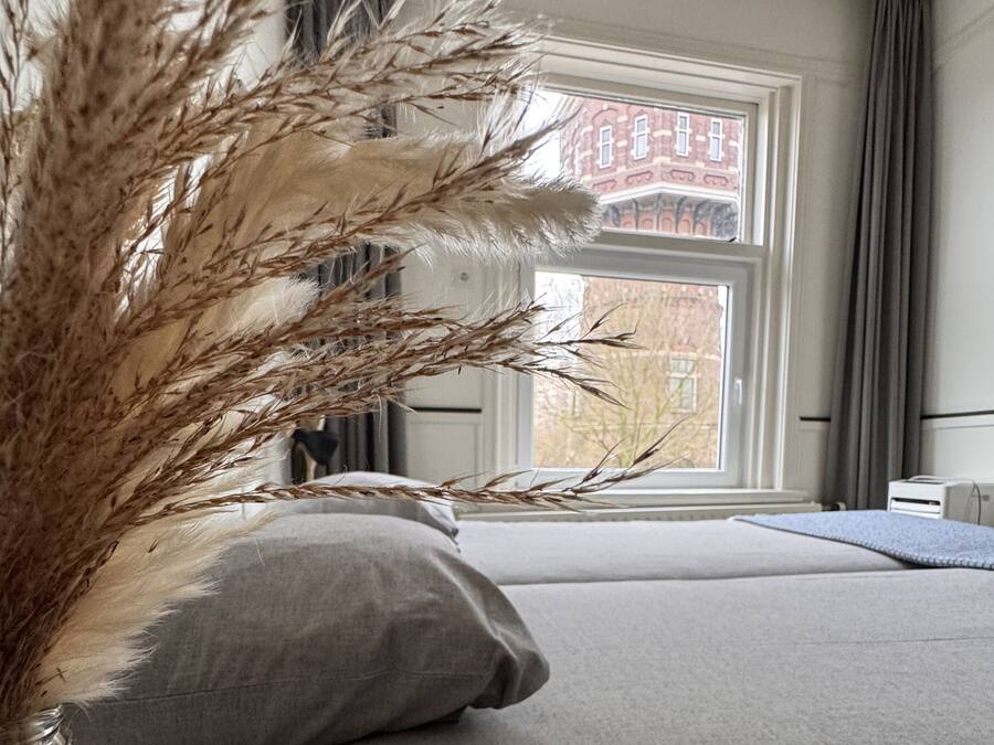 Wi-Fi de cortesia, roupa de cama