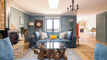 Smart TV, fireplace, books