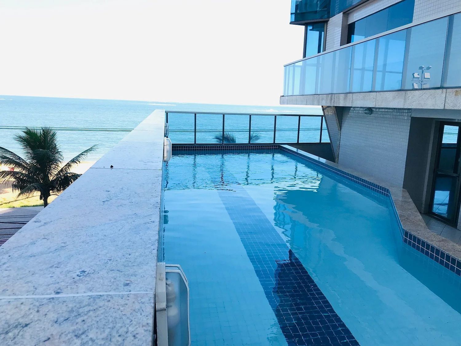 A swimming pool with a view of the ocean, a palm tree, and a modern building with large windows.
