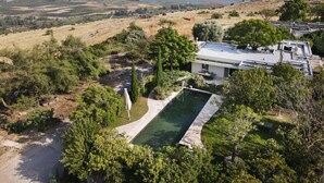 Une maison moderne avec une piscine, entourée d’une végétation luxuriante et offrant une vue sur la mer.