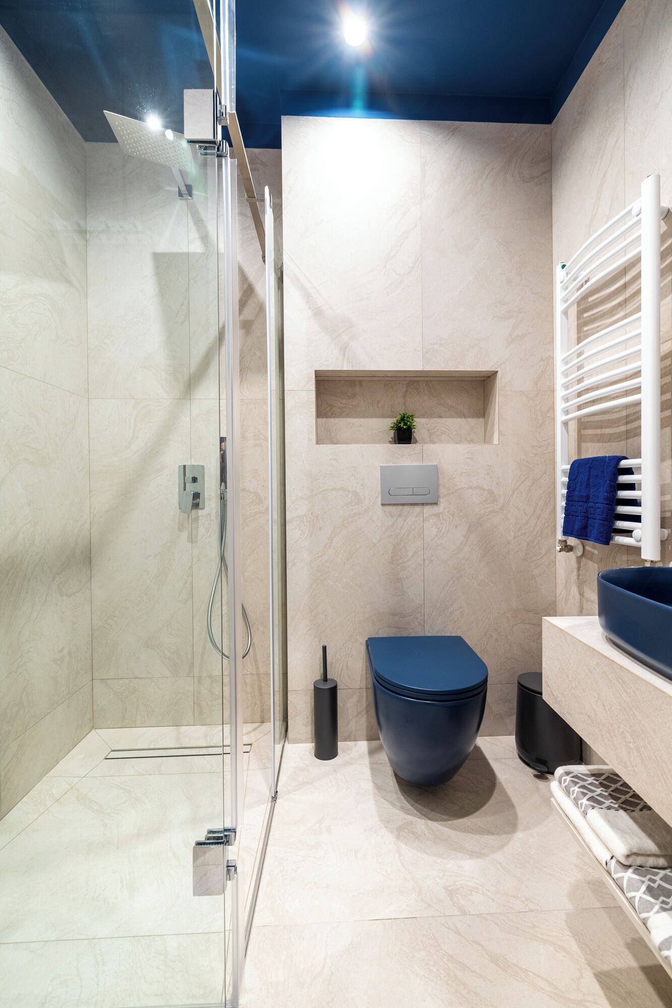 A modern bathroom with a glass shower enclosure, a large blue sink, and a built-in shelf with a plant.
