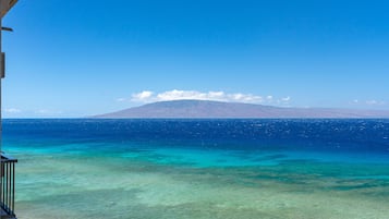 Vista desde la propiedad