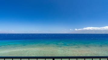 Beach/ocean view