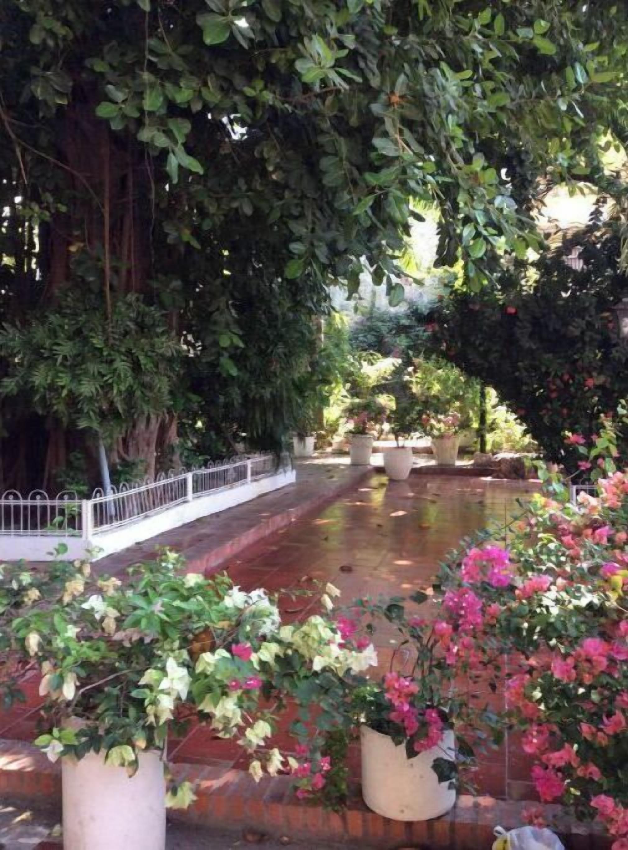 Parco della struttura