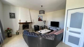 TV, fireplace, books