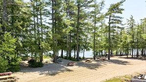 A beach with picnic tables and a sandy area surrounded by tall trees.