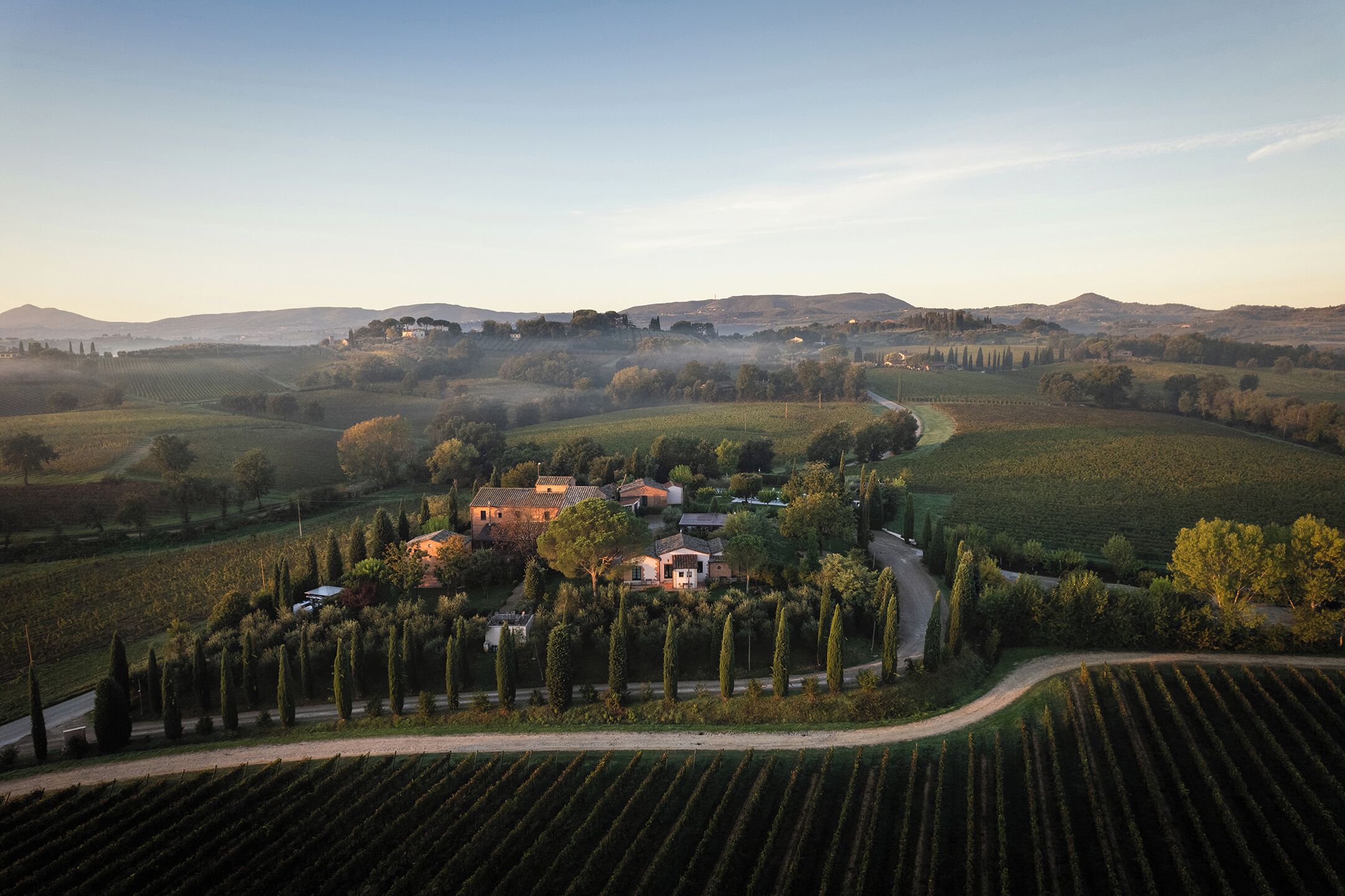 A vineyard with rows of grapevines, a central building surrounded by trees, and rolling hills in the background.