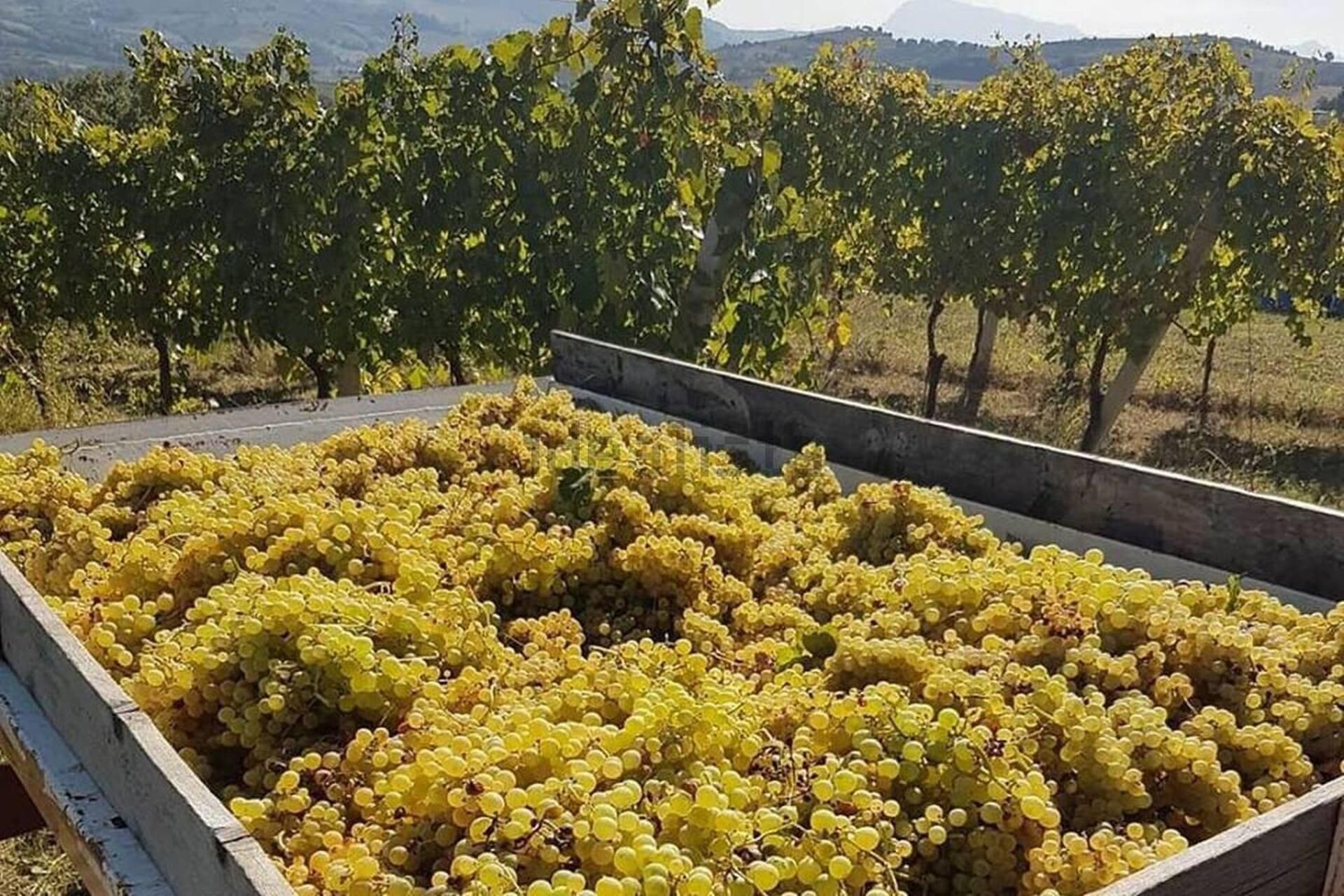 Apartment, 1 Queen Bed | Property grounds