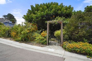 A garden with a wooden archway, surrounded by orange flowering bushes and trees.