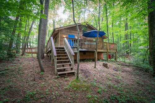 Lazy Bear Den - Free Spring Night