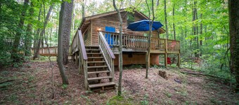 Lazy Bear Den - Free Spring Night