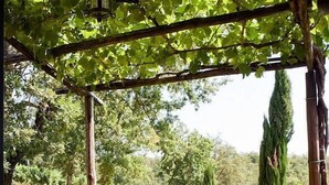 Une terrasse extérieure avec une table dressée pour deux personnes, entourée de chaises, et surplombée d’une pergola agrémentée d’une lanterne.