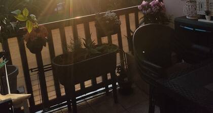 T1 Canet en Roussillon