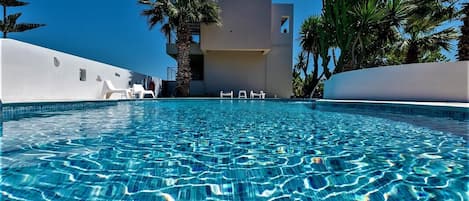 A clear blue pool with a modern building in the background, surrounded by palm trees.