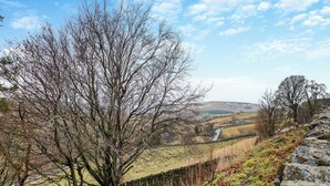 A rural landscape with stone walls, a stone fence, and leaf-covered ground. - 3 bedroom accommodation in Cowshill, near Alston (Cowshill, near Alston)
