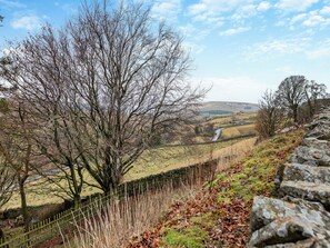 A rural landscape with stone walls, a stone fence, and leaf-covered ground. - 3 bedroom accommodation in Cowshill, near Alston (Cowshill, near Alston)