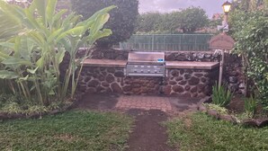 Een stenen barbecue met bedieningspaneel, omgeven door een tuin met diverse planten en een geplaveid pad.