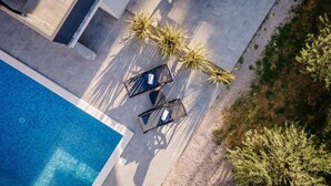 Vista aérea de un área de piscina con dos tumbonas y una palmera.
