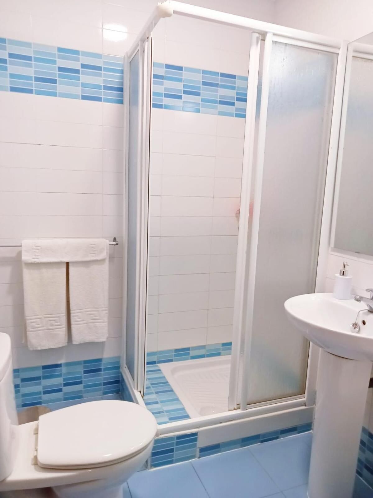Bidet, toallas, jabón, shampoo