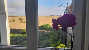 A window with a view of a field and a purple flower in the foreground. - Maravillon (Villon)